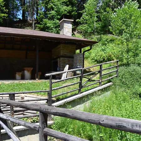 Διαμέρισμα Forest View