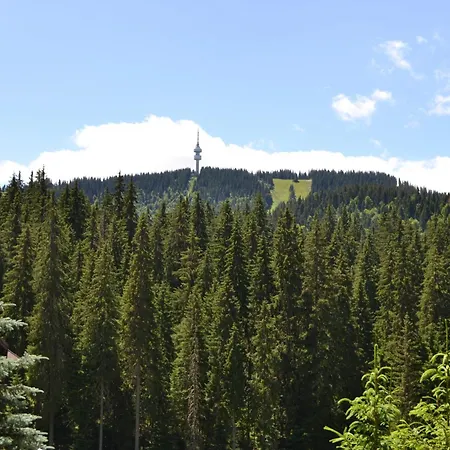 Forest View 公寓 *