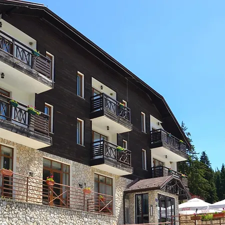 Forest View Апартаменты