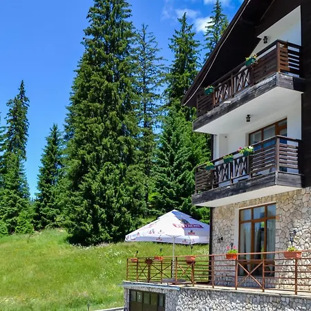 Διαμέρισμα Forest View *