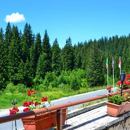 Forest View Διαμέρισμα Παμπόροβο