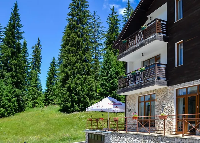 Appartamento Forest View *