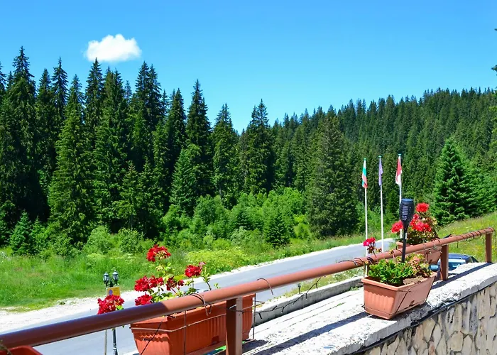 Forest View Daire Pamporovo